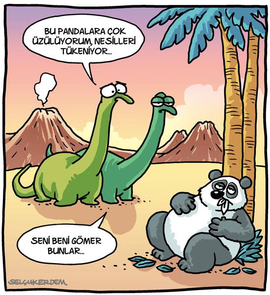 今月のトルコの風刺漫画　2017年4月　セルチュク・エルデム