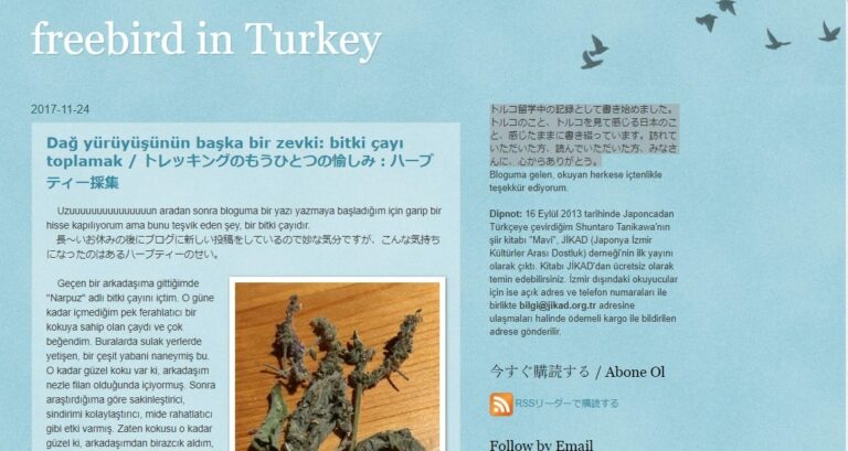 ブログ紹介　freebird in Turkey