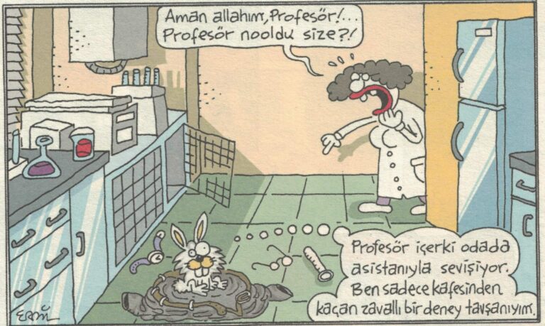今月のトルコの風刺漫画　2018年11月　エルディル・ヤシャロール